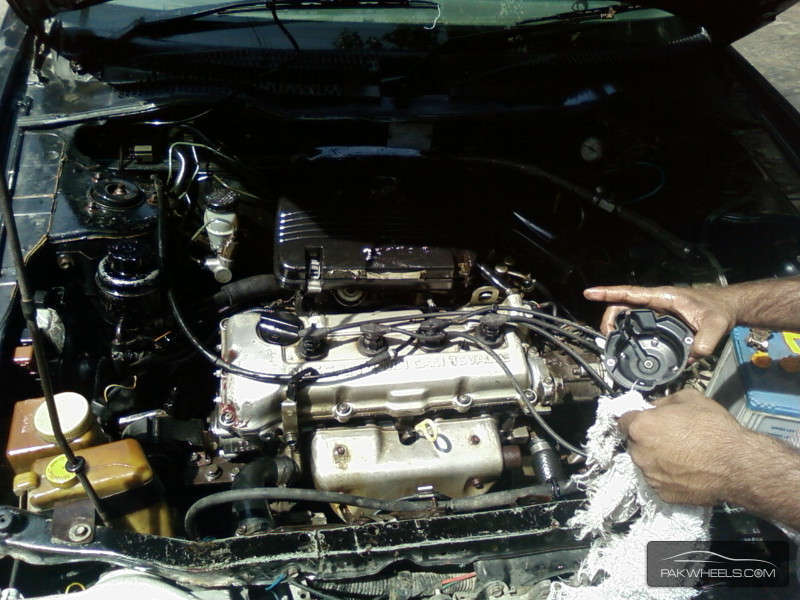 Nissan Sunny - 1992 MAK Nissan Sunny - 1992 MAK Image-12