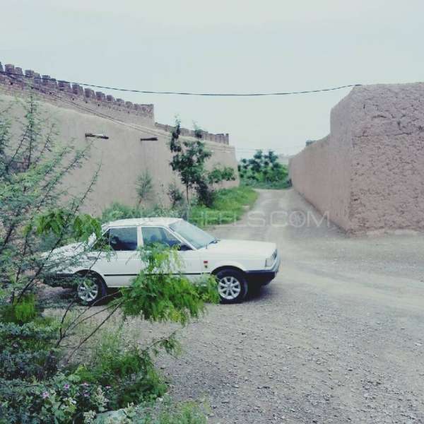 Nissan Sunny - 1987  Image-1