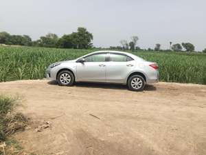 Toyota Corolla - 2015