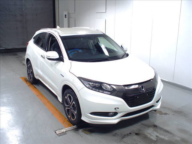  Image-1