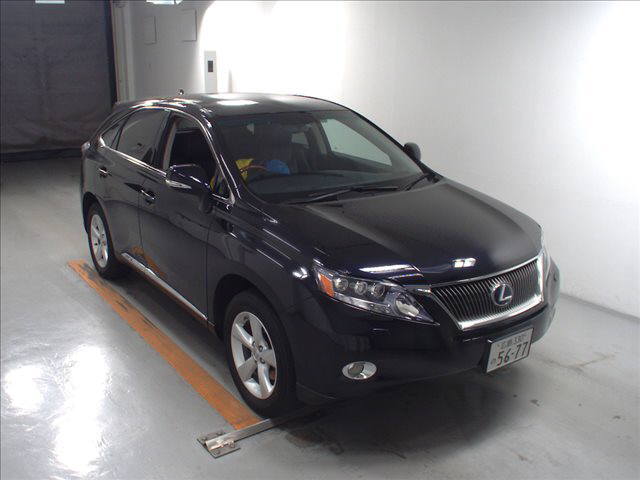  Image-1