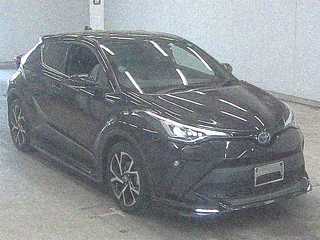  Image-1