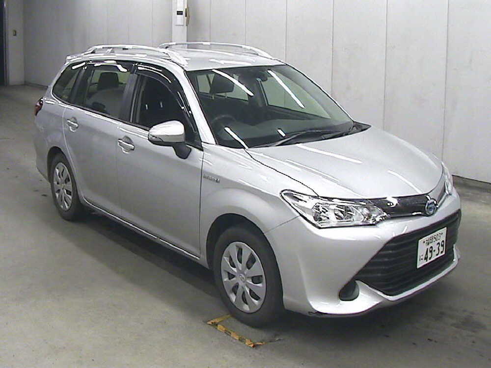  Image-1