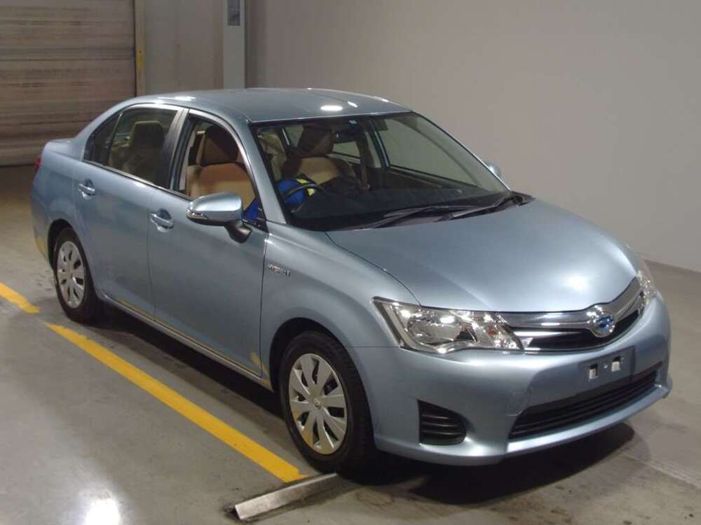  Image-1
