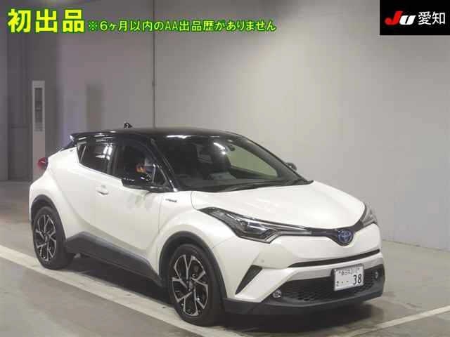  Image-1