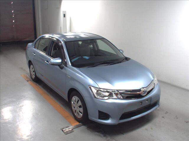  Image-1