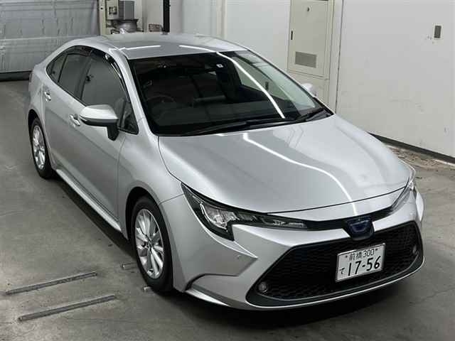  Image-1