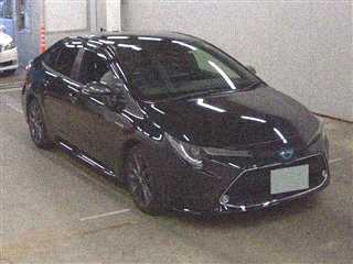  Image-1
