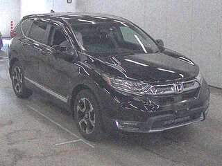  Image-1