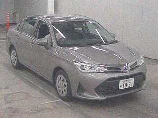  Image-1