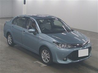  Image-1