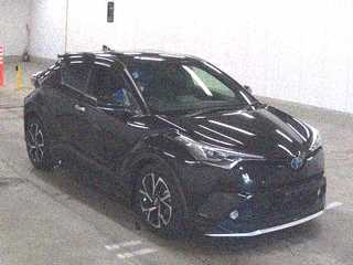  Image-1