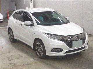  Image-1