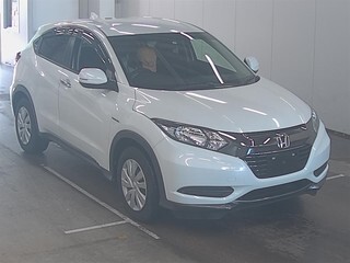  Image-1
