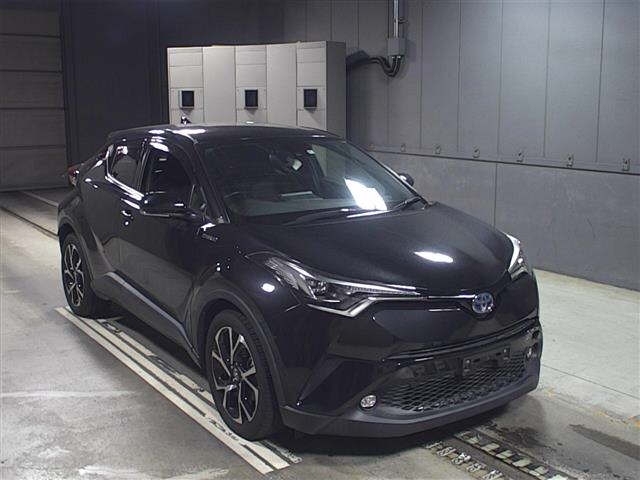  Image-1