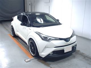  Image-1