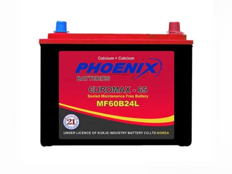 Dry Battery 65L