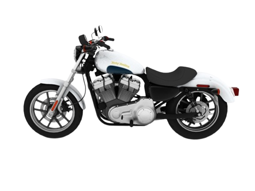 Harley Davidson 1200 Custom 