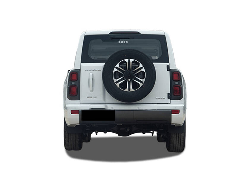 Haval H9 Exterior Back View